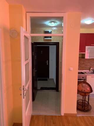 Апартаменты Apartman Trklja Котор Апартаменты с 1 спальней-25