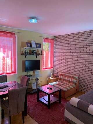 Апартаменты Apartman Trklja Котор Апартаменты с 1 спальней-56